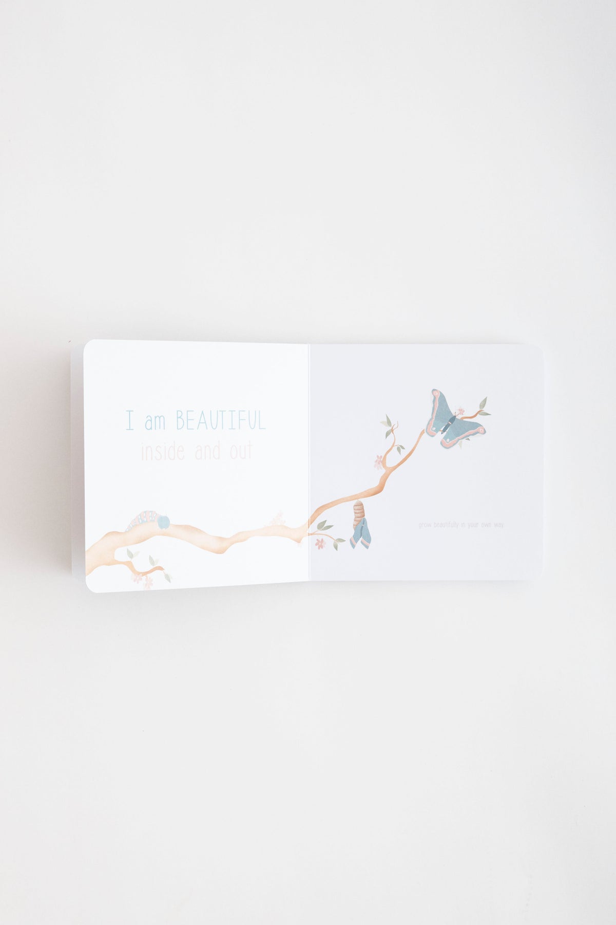 Hey Little Dreamer Book