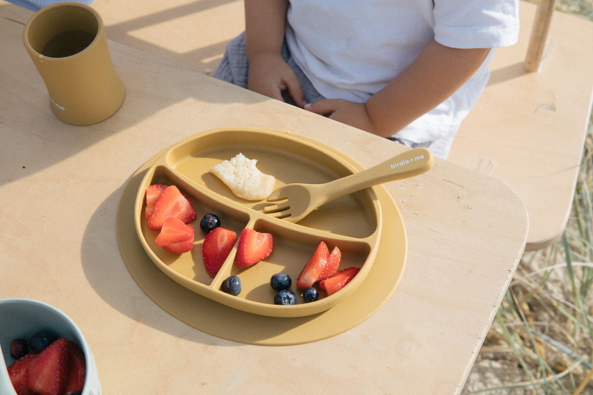 Silicone suction plate in clay. Featuring dividers and birdie + me logo.